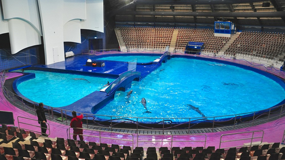 Dolfinarium te Harderwijk