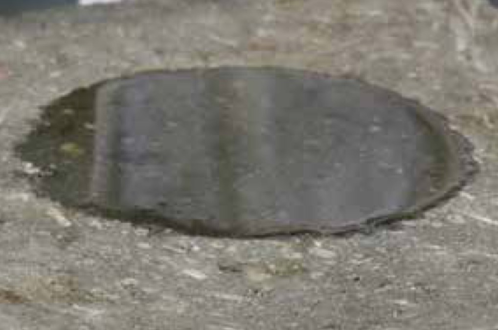 Optrekkend vocht 26.jpg