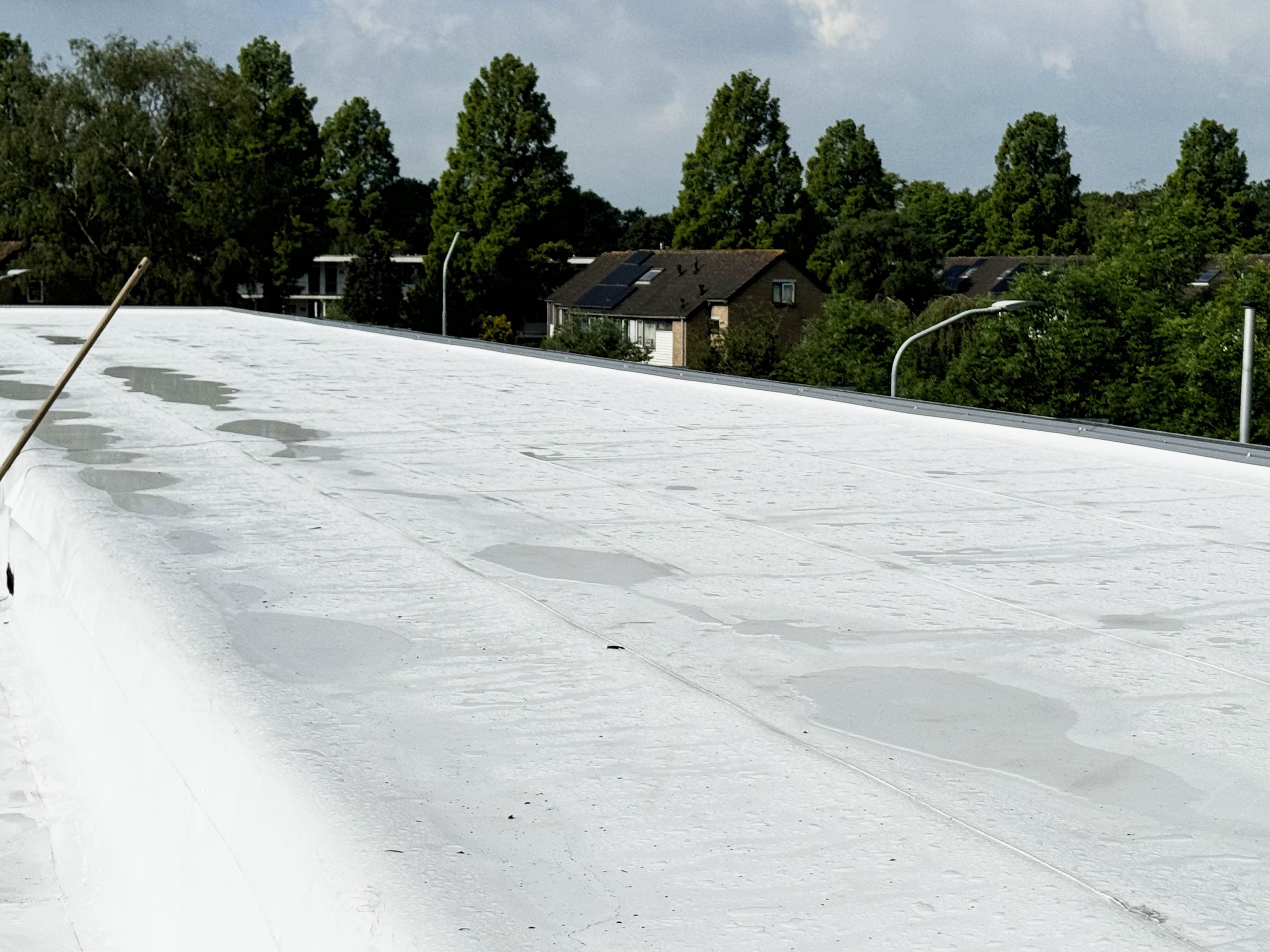 Witte Dakbedekking Audi VW Seat