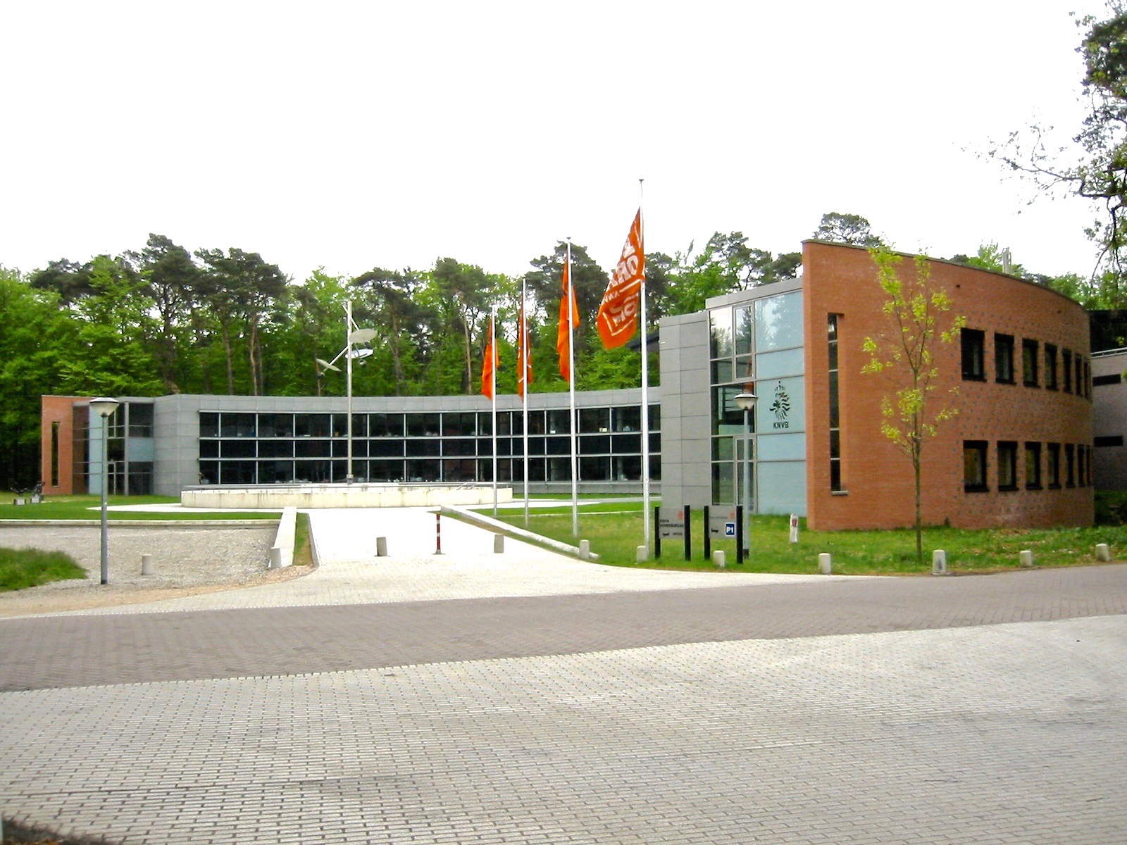 ECB Dakbedekking KNVB