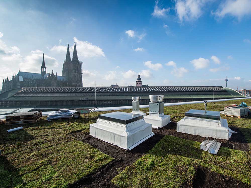 TPO Dakbedekking en Greondaken