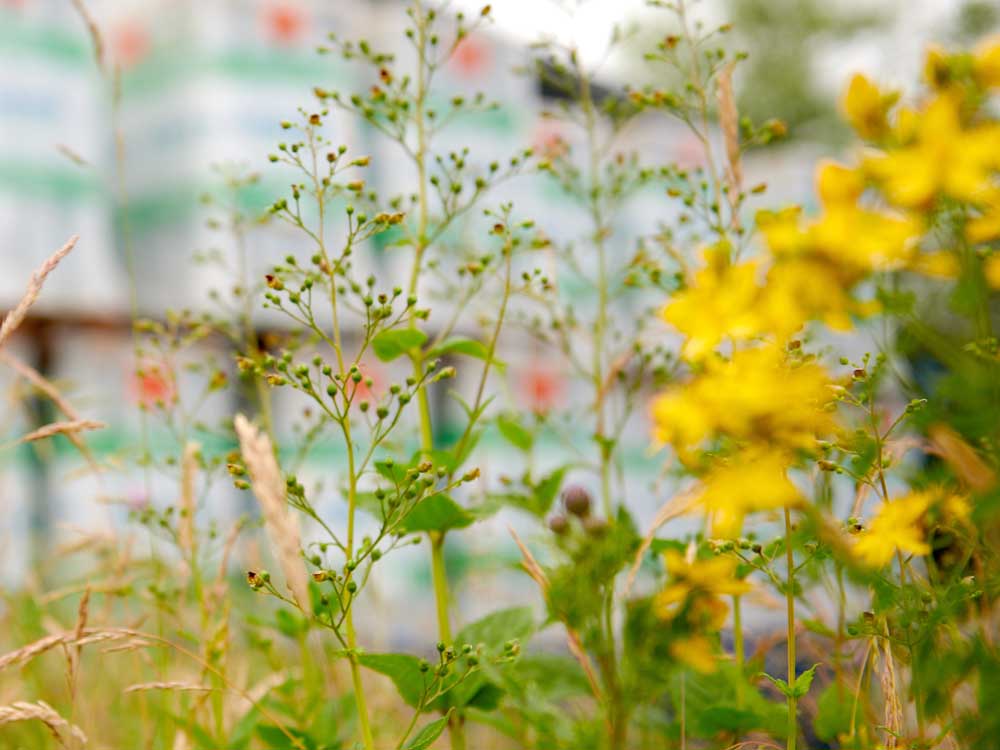 TPO dakbedekkingen het milieu