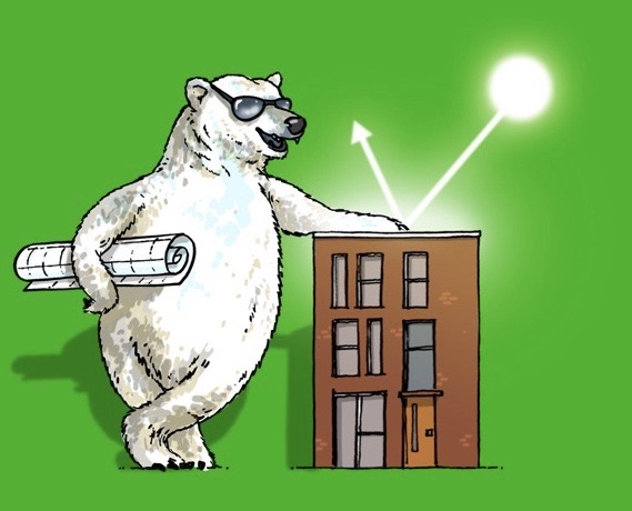 Witte Dakbedekking 21